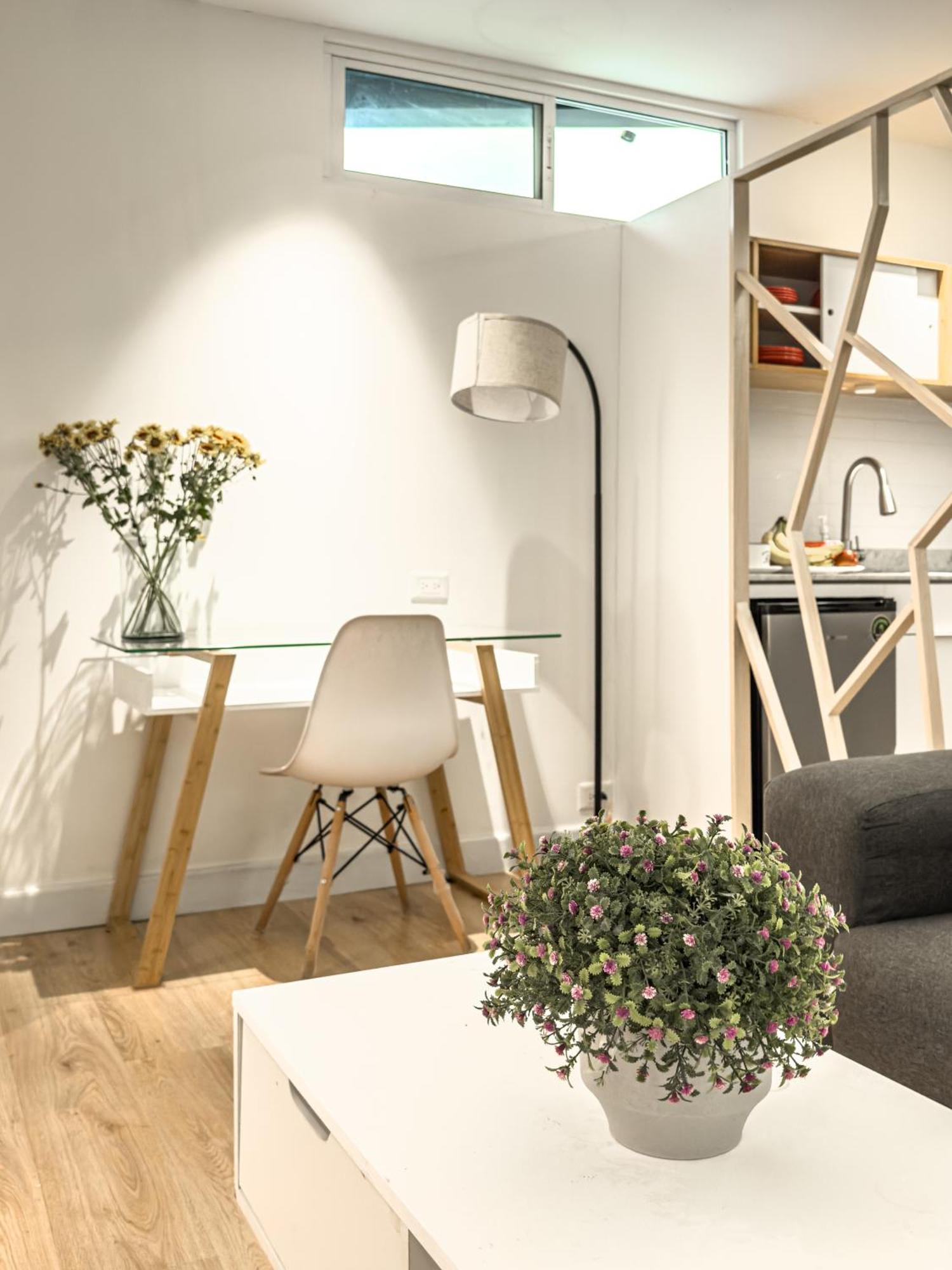 Cute Quiet Studio, Smart Tv, Six Flags 1 Km مدينة مكسيكو المظهر الخارجي الصورة